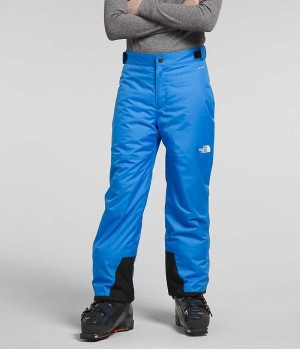 The North Face Freedom Isolerede Bukser Drenge Blå | DK DHFBE