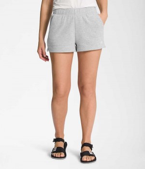The North Face Half Dome Fleece Shorts Dame Grå | DANMARK SHQNP