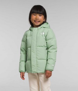 The North Face North Hætte Dunjakke Pige Mintgrønne | DK GNYFW
