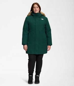The North Face Plus Arctic Parka Dame Grøn | DK PJTZM
