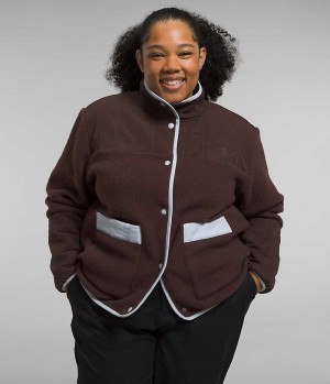 The North Face Plus Cragmont Fleece Jakker Dame Brune | DK ZEADW