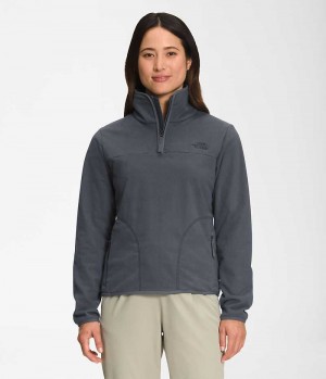 The North Face Polar Osito ¼-Zip Sweatshirt Dame Grå | DK NHCIY