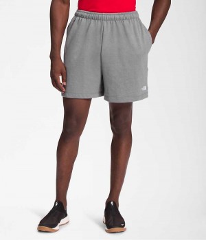 The North Face Simple Logo Fleece Shorts Herre Grå | DANMARK LQMCA