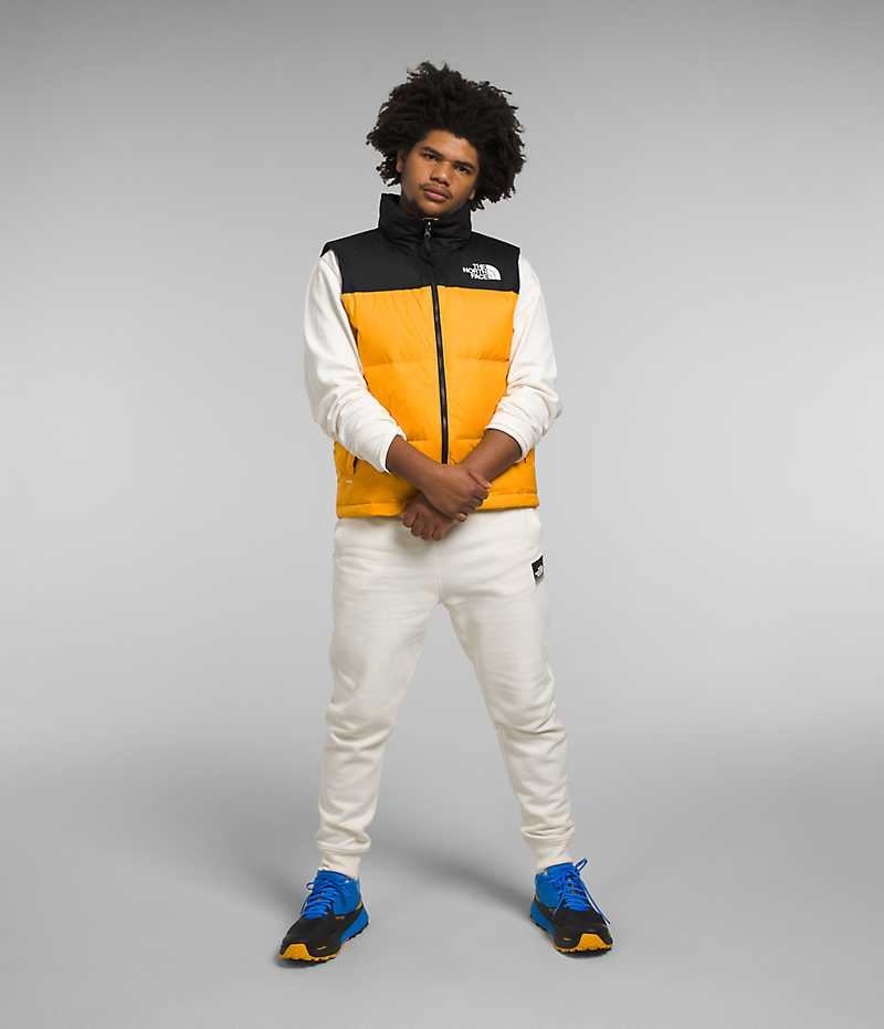 The North Face 1996 Retro Nuptse Dunvest Herre Guld Sort | DK ERUHM