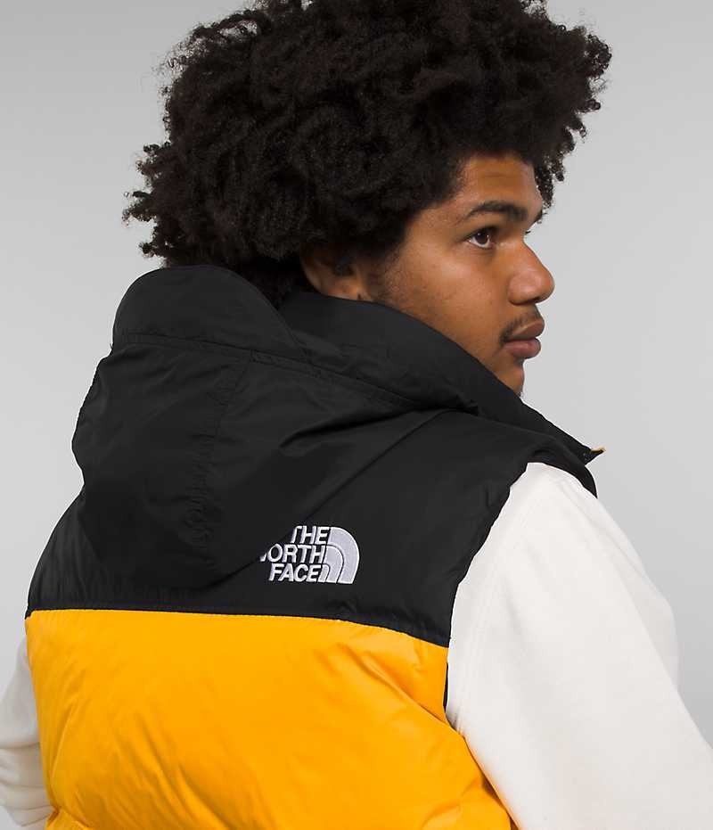 The North Face 1996 Retro Nuptse Dunvest Herre Guld Sort | DK ERUHM
