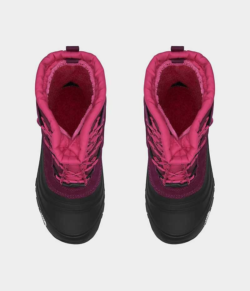 The North Face Alpenglow V Vandtætte Vinterstøvler Drenge Fuchsia Sort | DANMARK GBPJO