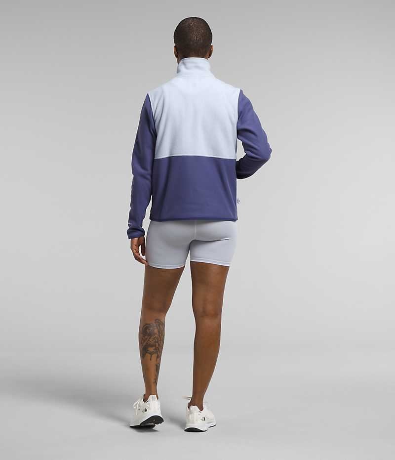 The North Face Alpine Polartec® 100 Fleece Jakker Dame Blå | DANMARK VXBDE