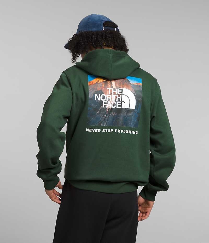 The North Face Box NSE Pullover Hættetrøje Herre Grøn | DANMARK OEWNX