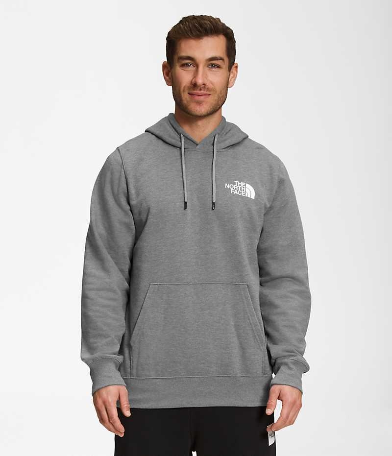 The North Face Box NSE Pullover Hættetrøje Herre Grå | DANMARK LHIAZ