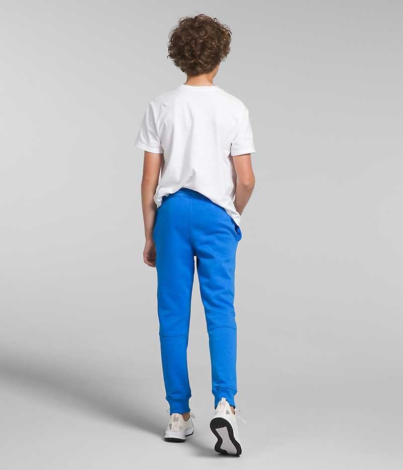 The North Face Camp Fleece Joggers Drenge Blå | DANMARK RBKIS