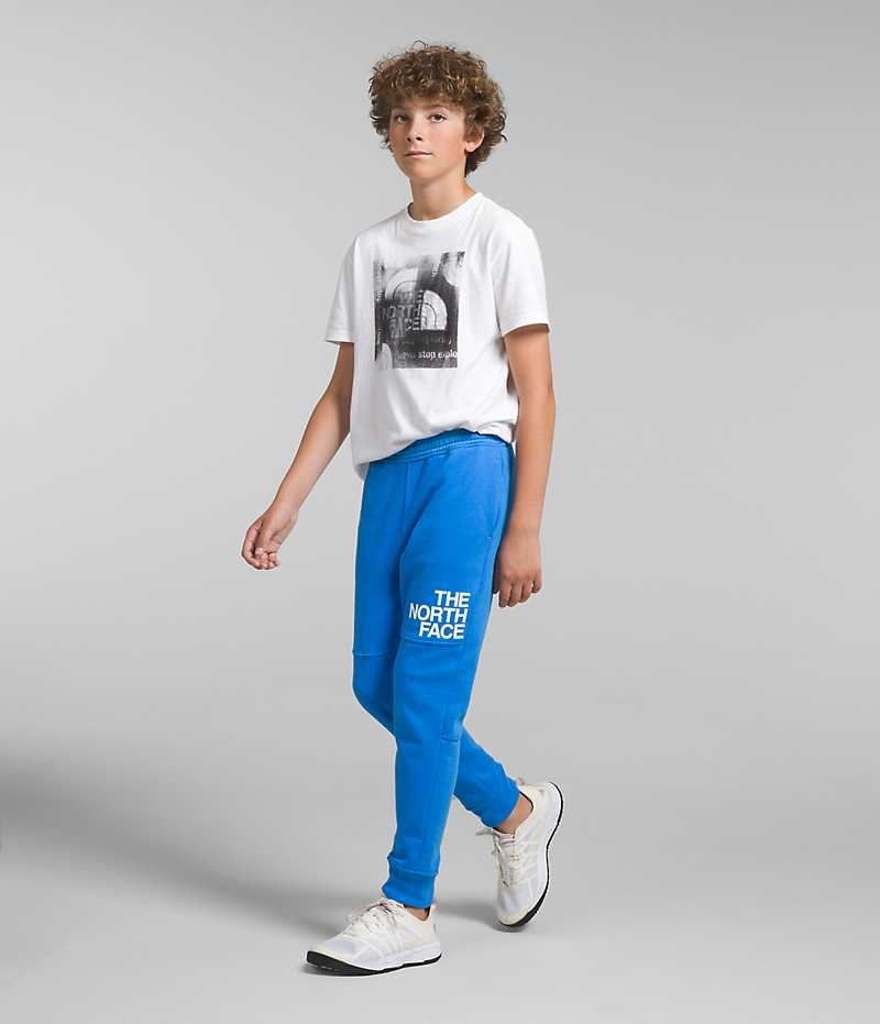 The North Face Camp Fleece Joggers Drenge Blå | DANMARK RBKIS