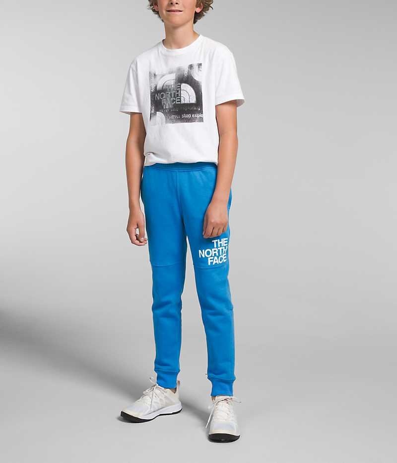 The North Face Camp Fleece Joggers Drenge Blå | DANMARK RBKIS