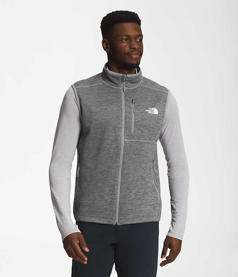 The North Face Canyonlands Vest Herre Grå | DK HROFW