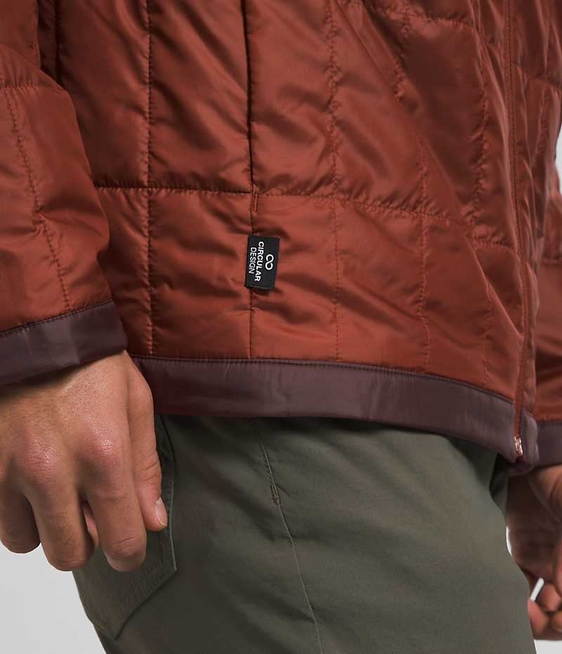 The North Face Circaloft Dunjakke Herre Brune | DANMARK RNGJK