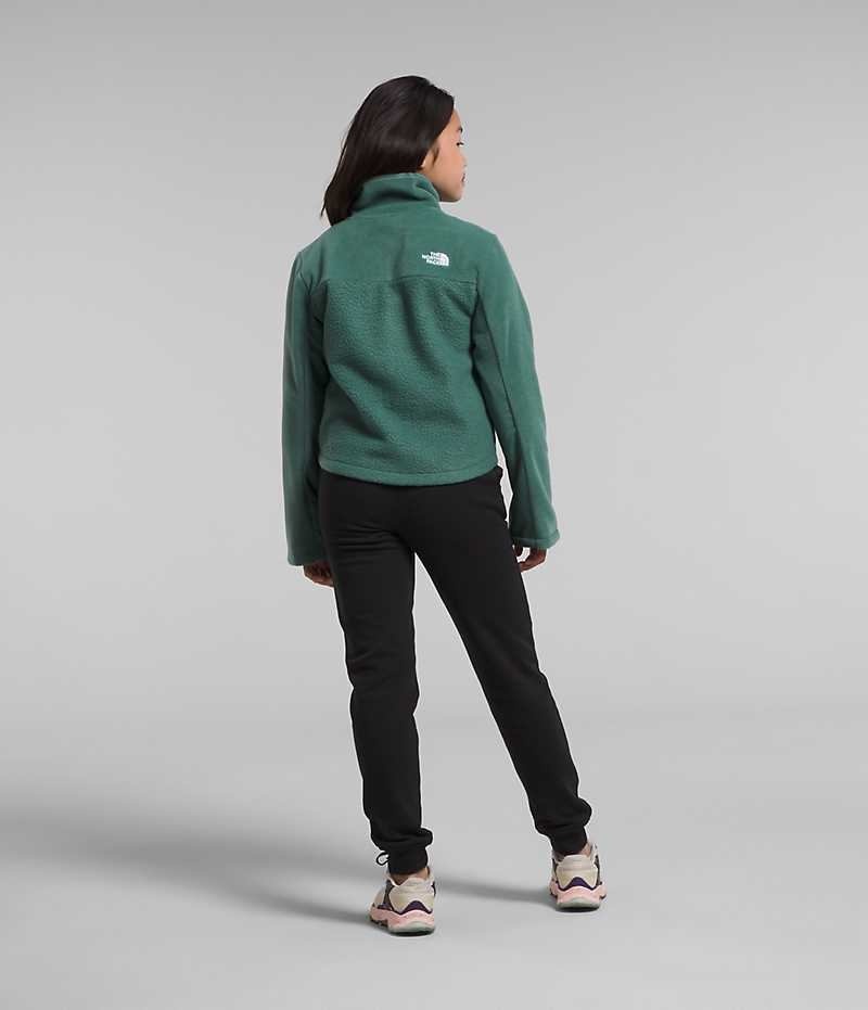 The North Face Fleece Mashup Fleece Jakker Pige Grøn | DK AEPNY