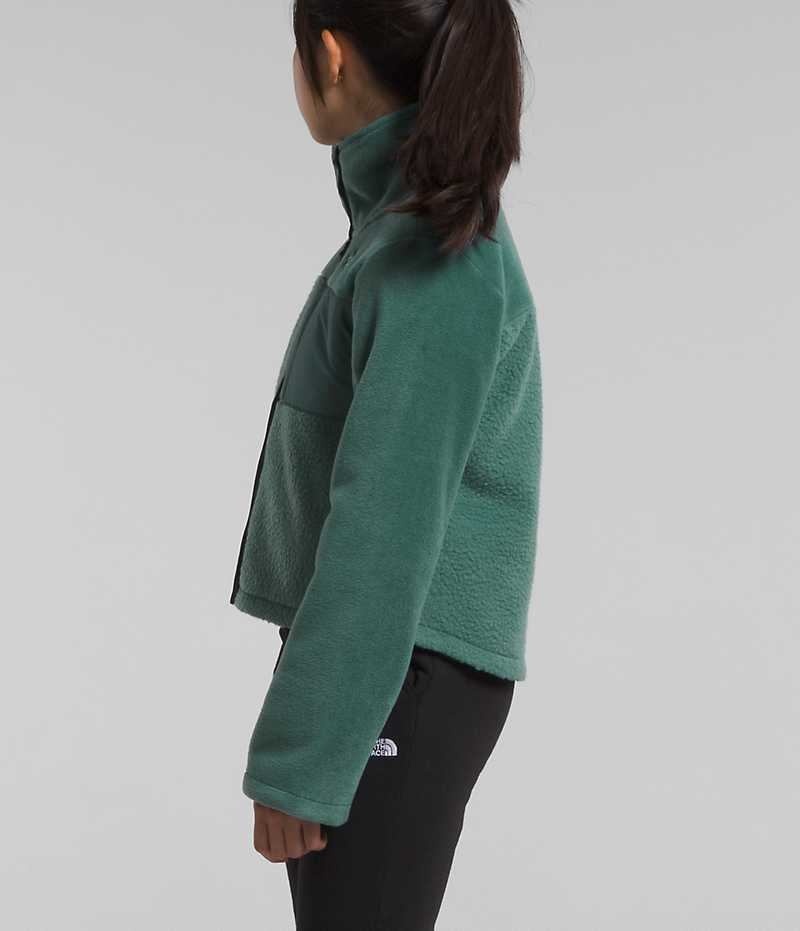 The North Face Fleece Mashup Fleece Jakker Pige Grøn | DK AEPNY