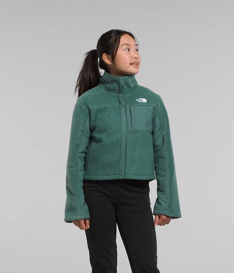 The North Face Fleece Mashup Fleece Jakker Pige Grøn | DK AEPNY