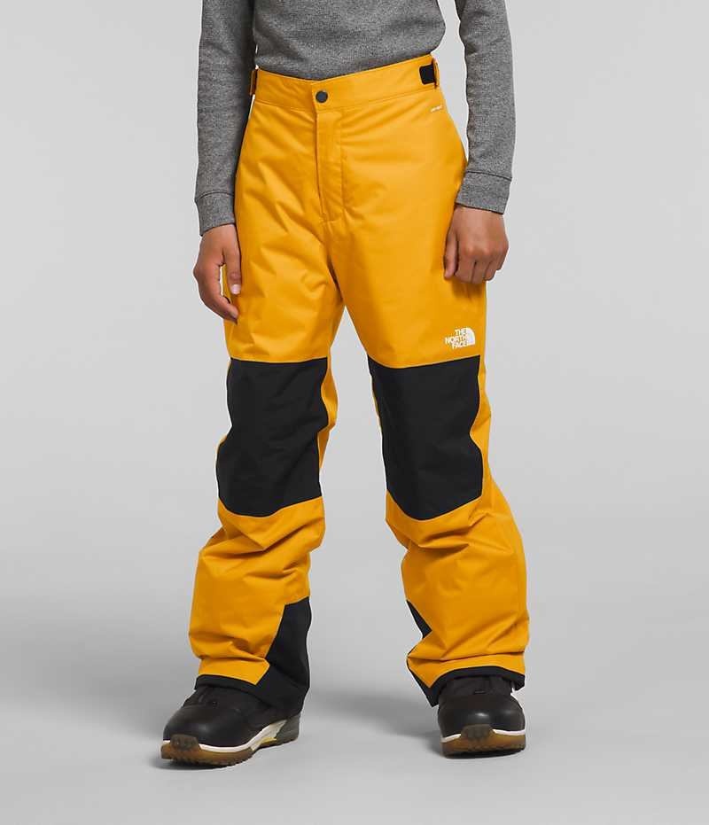 The North Face Freedom Isolerede Bukser Drenge Guld | DANMARK NUDZG