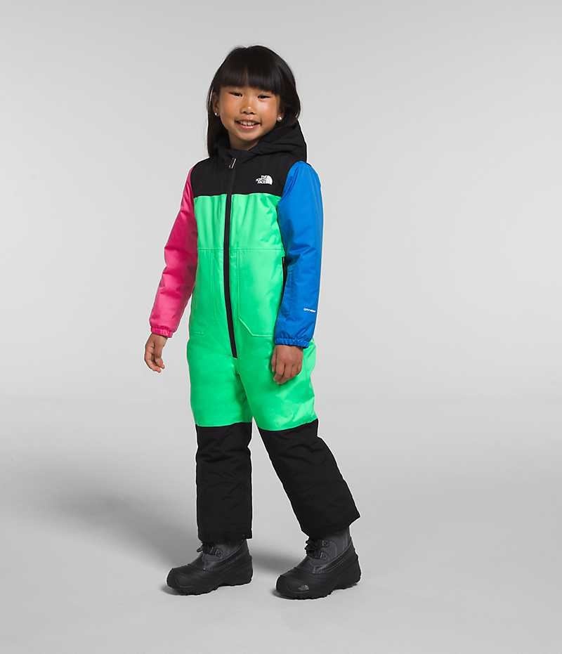 The North Face Freedom Snow Suit Dunjakke Pige Flerfarvede | DANMARK LYQME
