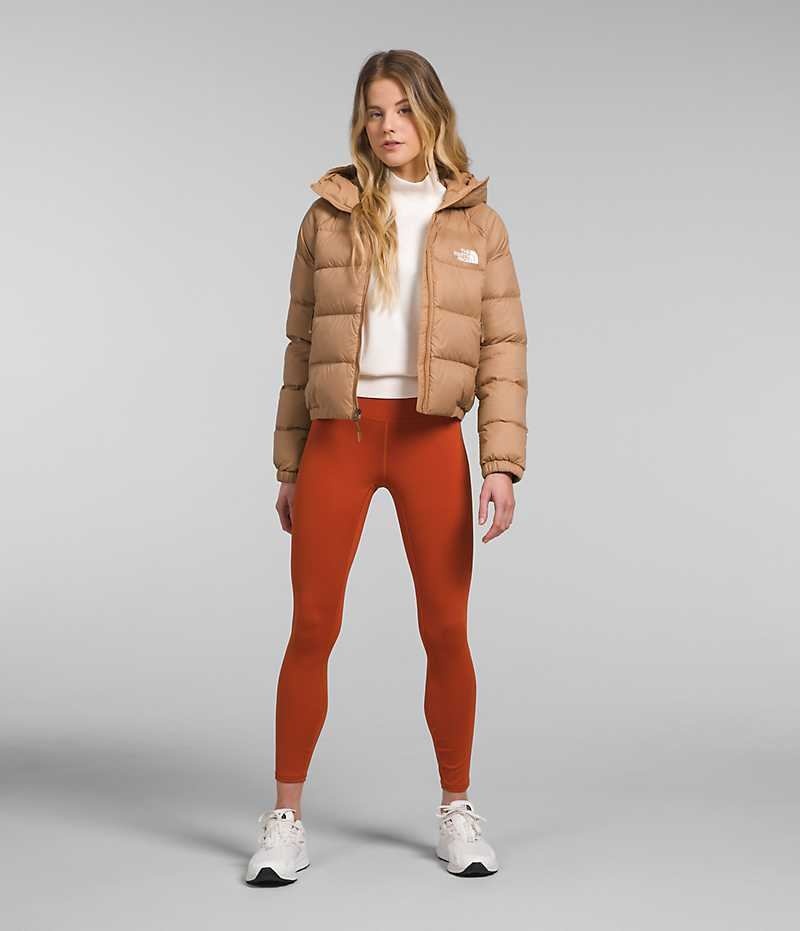 The North Face Hydrenalite™ Dunjakke Dame Brune | DK RNHQG
