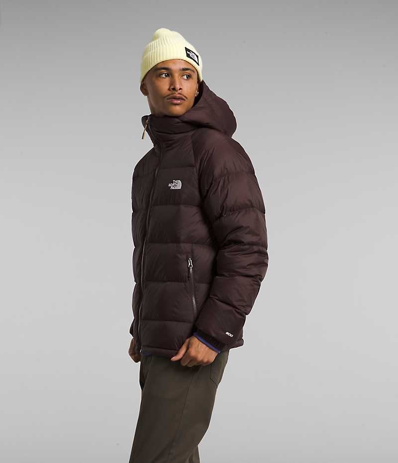The North Face Hydrenalite™ Hoodie Dunjakke Herre Bordeaux | DANMARK WGZJX