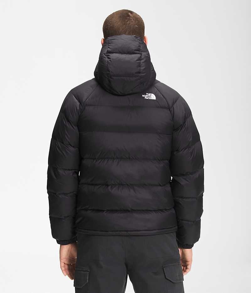 The North Face Hydrenalite™ Hoodie Dunjakke Herre Sort | DK YJNGZ