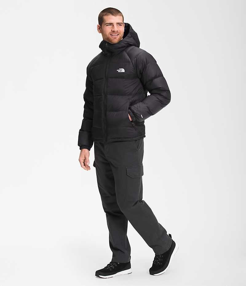 The North Face Hydrenalite™ Hoodie Dunjakke Herre Sort | DK YJNGZ