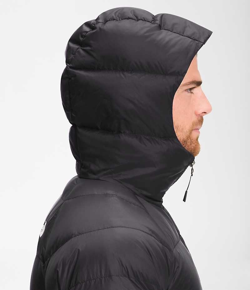 The North Face Hydrenalite™ Hoodie Dunjakke Herre Sort | DK YJNGZ