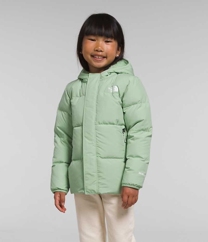 The North Face North Hætte Dunjakke Pige Mintgrønne | DK GNYFW