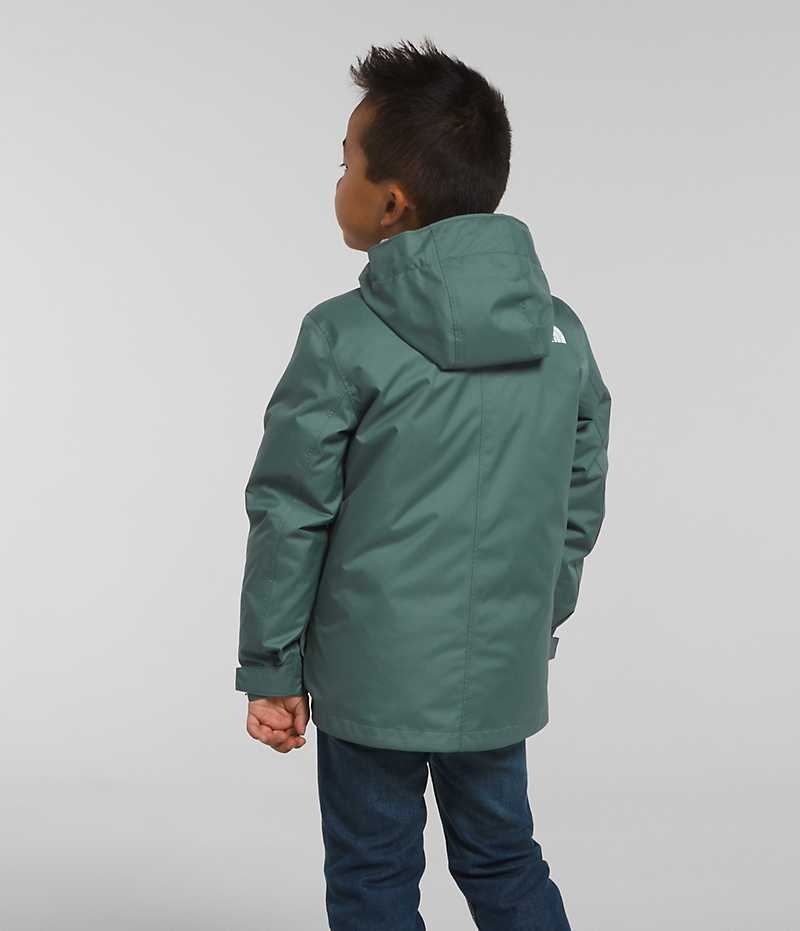 The North Face North Triclimate® Dunjakke Drenge Grøn | DK YOAJB