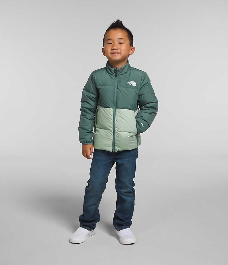 The North Face North Triclimate® Dunjakke Drenge Grøn | DK YOAJB
