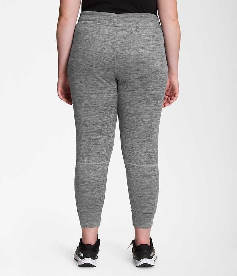 The North Face Plus Canyonlands Joggers Dame Grå | DANMARK BRINV