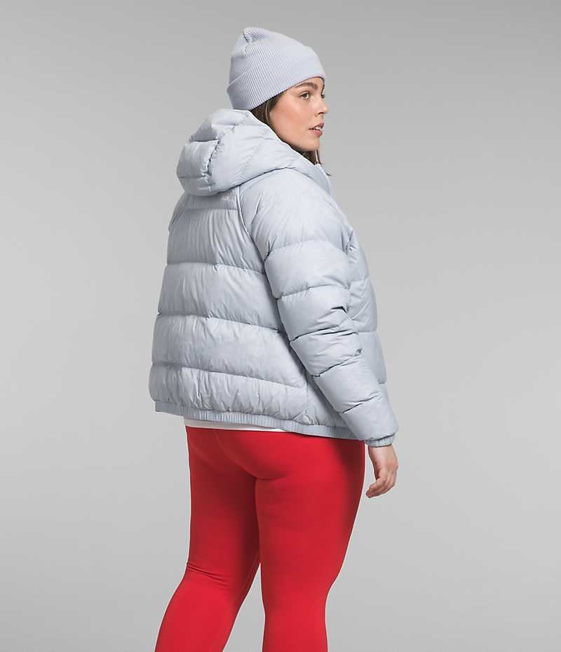 The North Face Plus Hydrenalite™ Hoodie Dunjakke Dame Grå | DK GQMFX