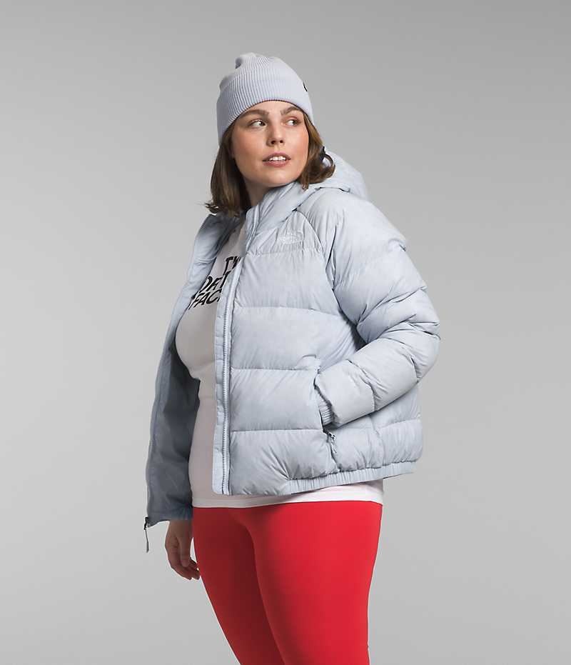 The North Face Plus Hydrenalite™ Hoodie Dunjakke Dame Grå | DK GQMFX