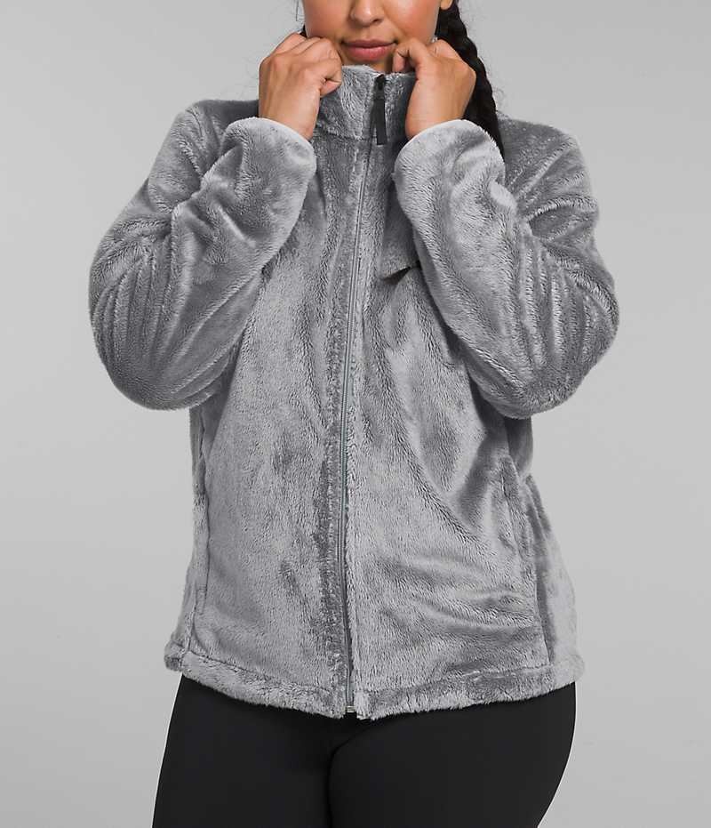The North Face Plus Osito Fleece Jakker Dame Grå | DK VQKYP