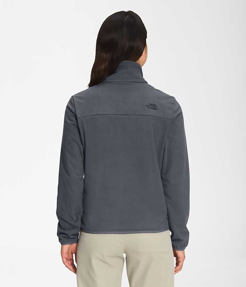 The North Face Polar Osito ¼-Zip Sweatshirt Dame Grå | DK NHCIY
