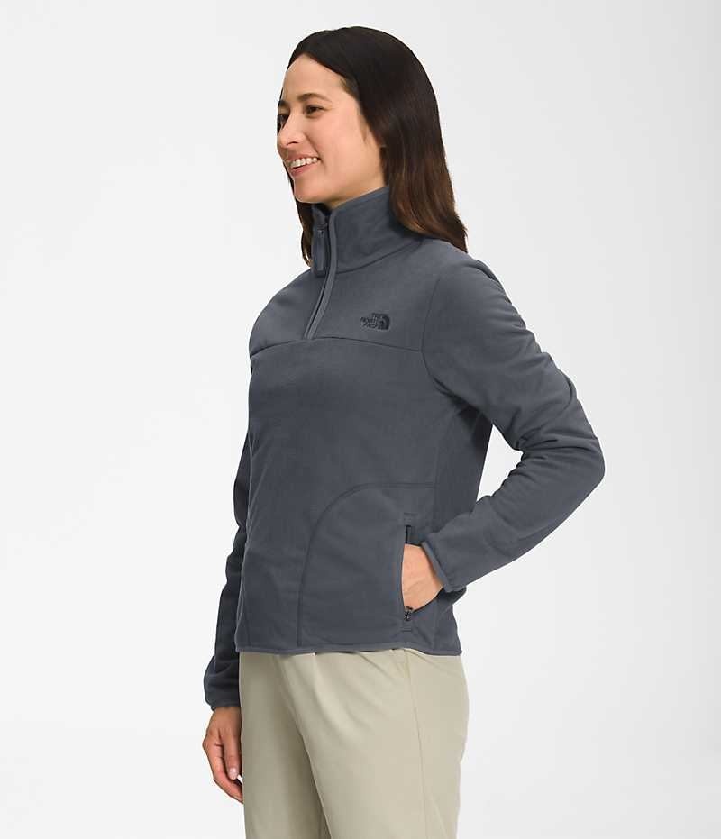 The North Face Polar Osito ¼-Zip Sweatshirt Dame Grå | DK NHCIY