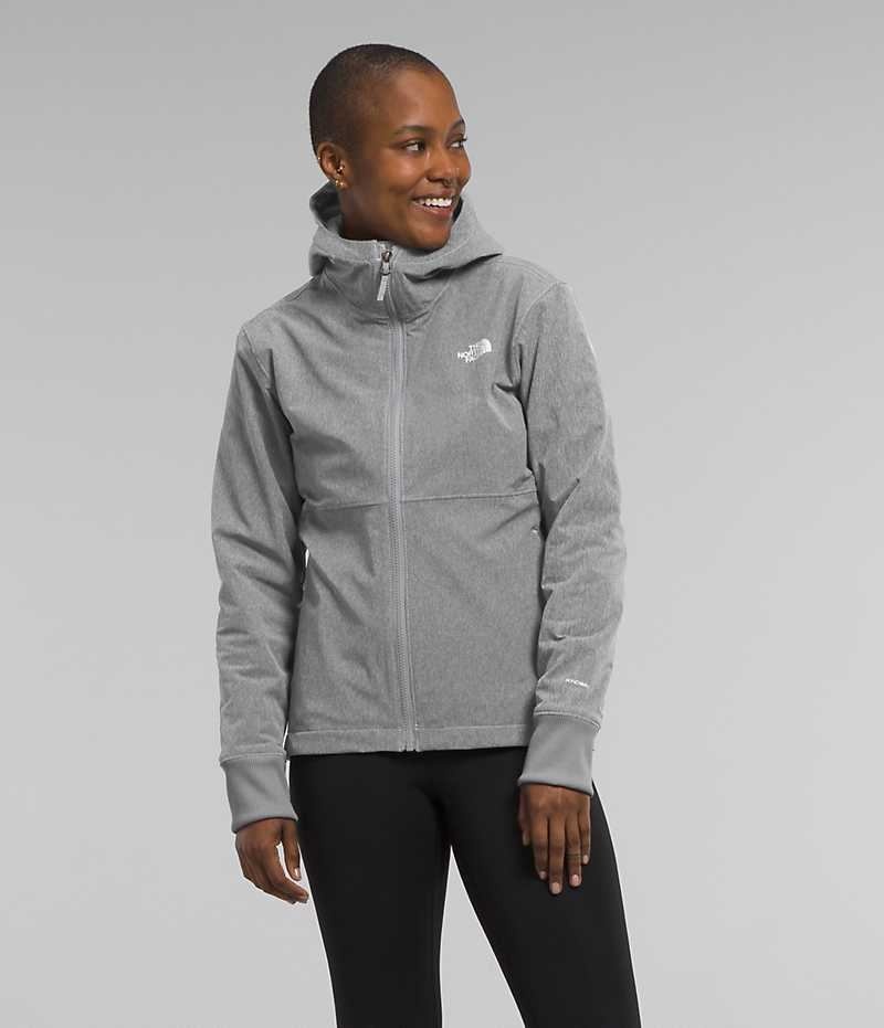 The North Face Shelbe Raschel Hoodie Softshell Jakke Dame Grå | DANMARK FIBUT