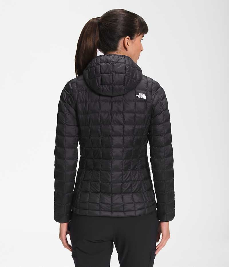The North Face ThermoBall™ Eco Hoodie 2.0 Dunjakke Dame Sort | DK QVGDZ