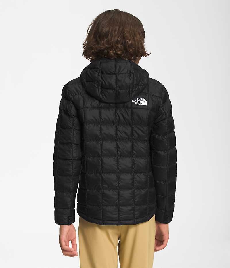 The North Face ThermoBall™ Hætte Dunjakke Drenge Sort | DANMARK WIKJT