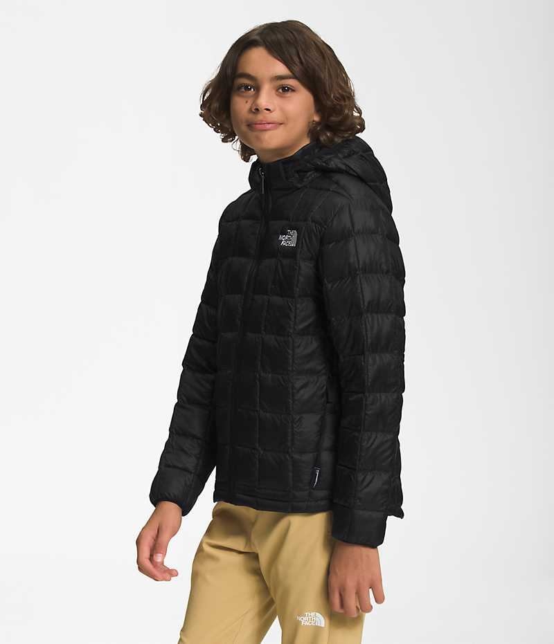 The North Face ThermoBall™ Hætte Dunjakke Drenge Sort | DANMARK WIKJT