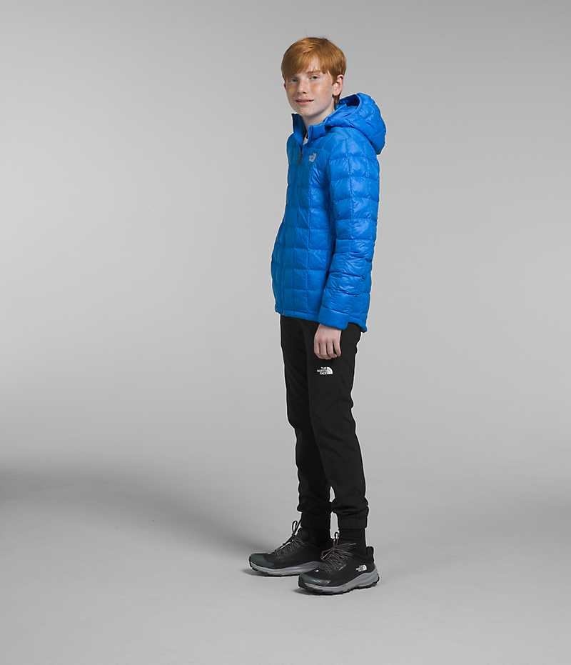 The North Face ThermoBall™ Hætte Dunjakke Drenge Blå | DANMARK IMRLJ