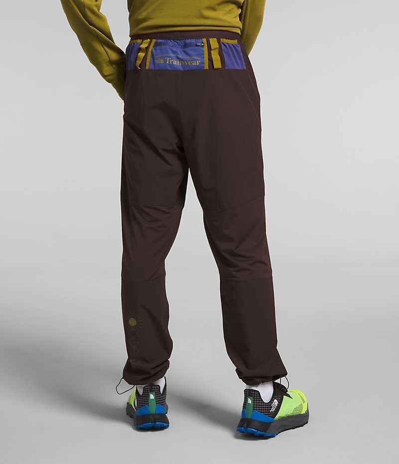 The North Face Trailwear OKT Joggers Herre Brune | DANMARK OHRTQ