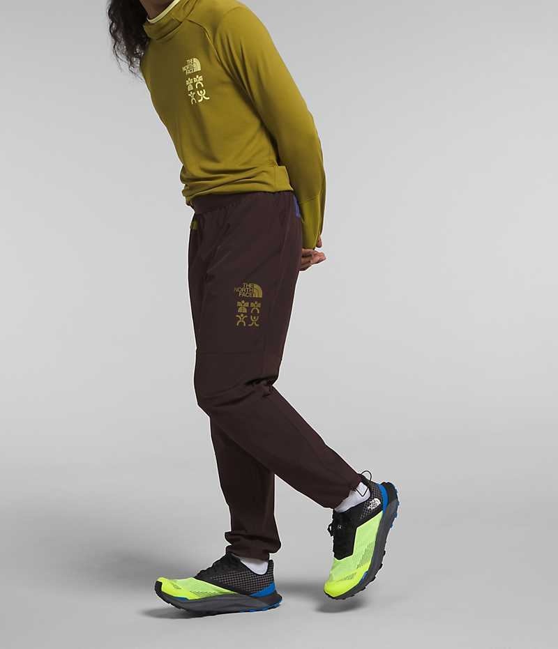The North Face Trailwear OKT Joggers Herre Brune | DANMARK OHRTQ
