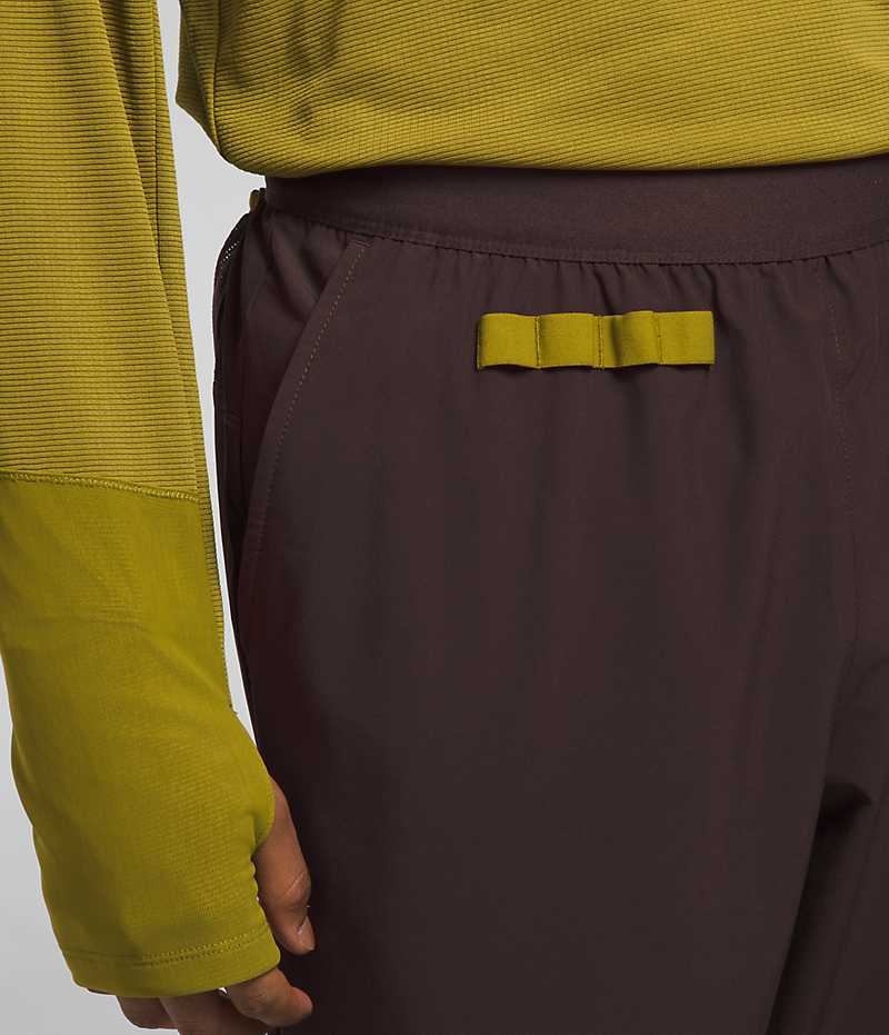 The North Face Trailwear OKT Joggers Herre Brune | DANMARK OHRTQ