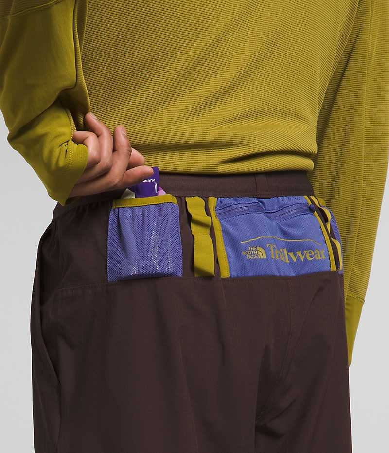 The North Face Trailwear OKT Joggers Herre Brune | DANMARK OHRTQ