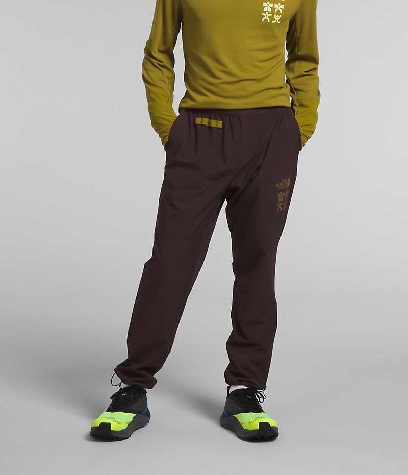 The North Face Trailwear OKT Joggers Herre Brune | DANMARK OHRTQ