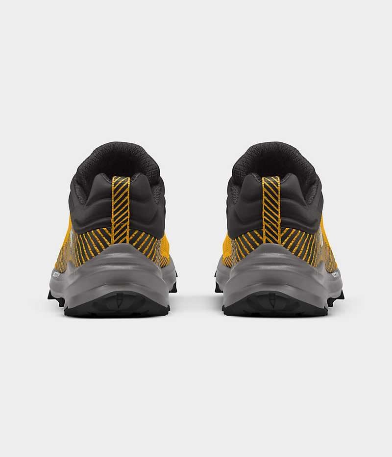 The North Face VECTIV Fastpack FUTURELIGHT™ Vandresko Herre Guld | DANMARK KALSV